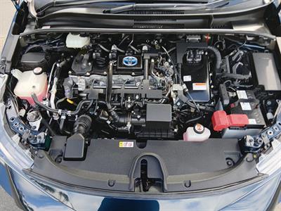 2019 Toyota Corolla - Thumbnail